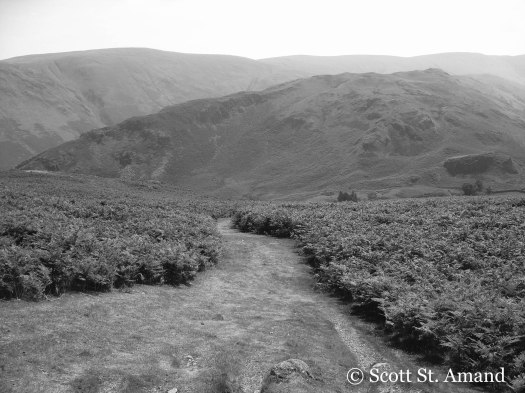 SSA Photography (1 of 400)