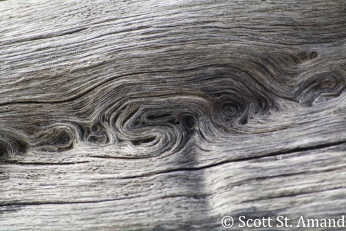 SSA Photography (101 of 400)