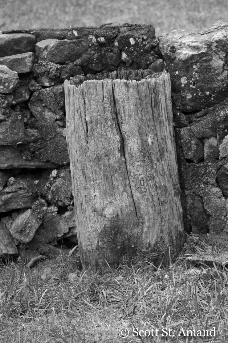 SSA Photography (105 of 400)