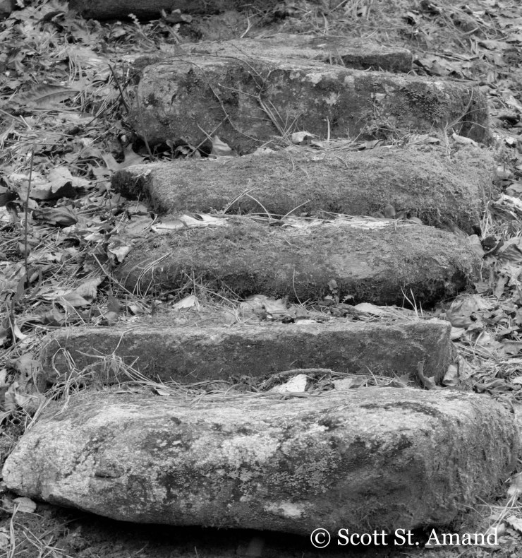 SSA Photography (108 of 400)