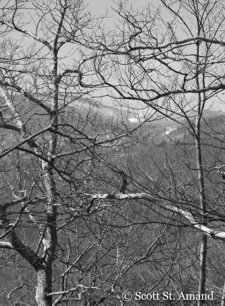 SSA Photography (115 of 400)