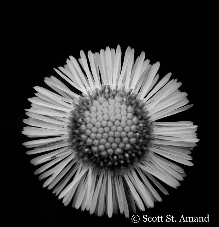 SSA Photography (125 of 400)