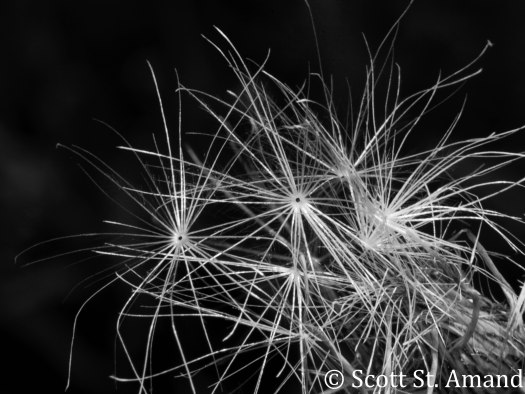 SSA Photography (126 of 400)