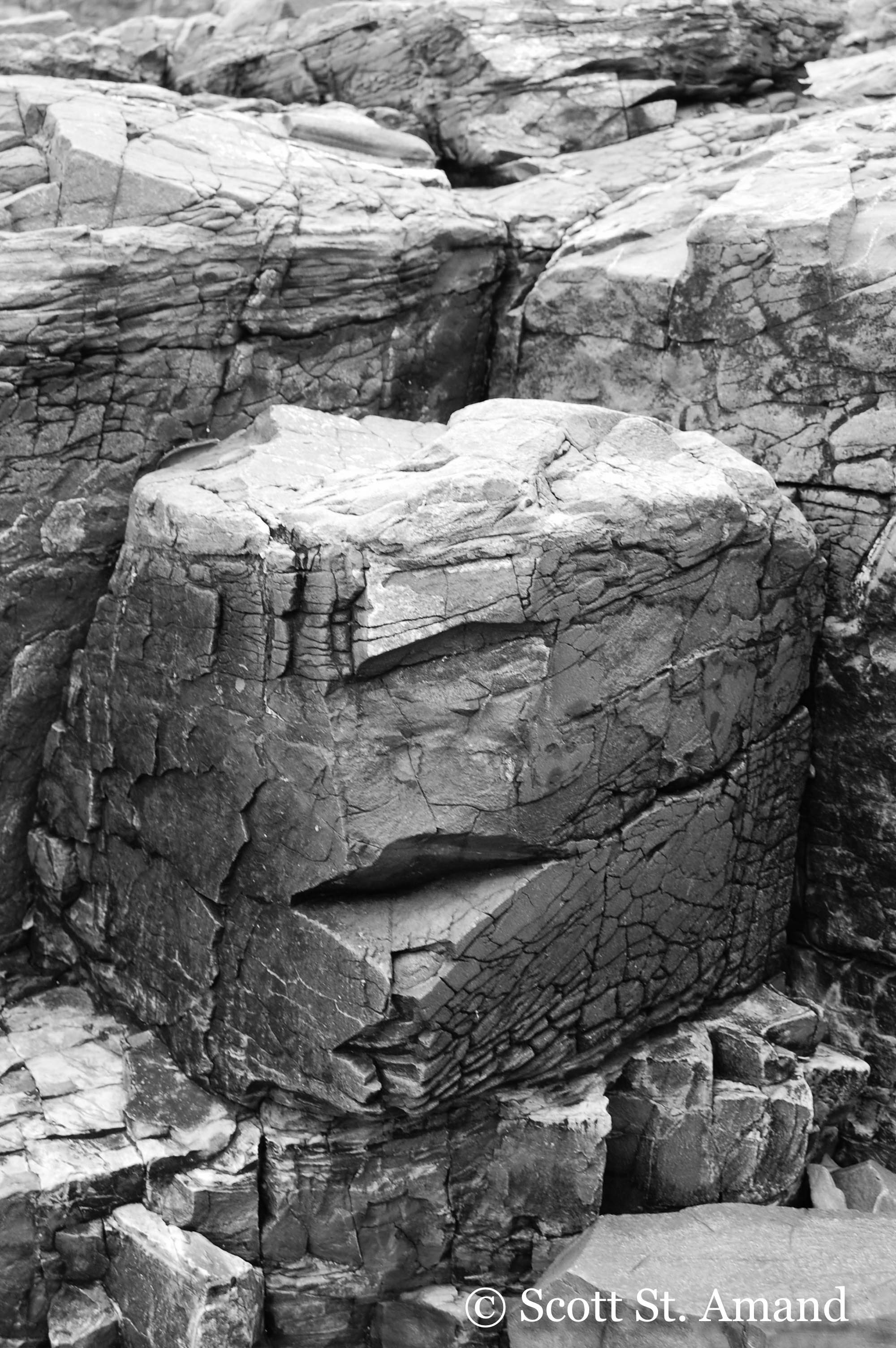 SSA Photography (13 of 400)