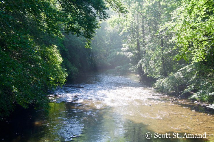 SSA Photography (136 of 400)
