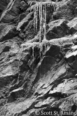 SSA Photography (138 of 400)