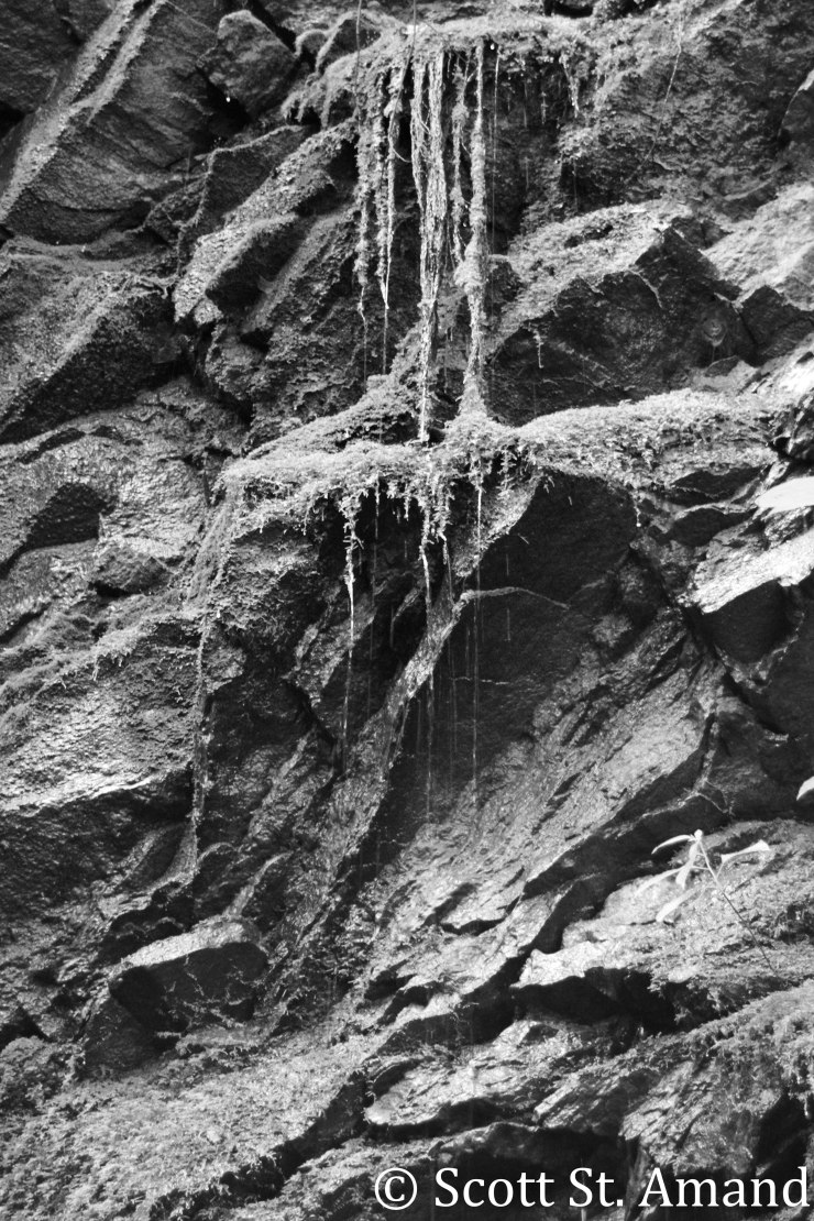 SSA Photography (138 of 400)