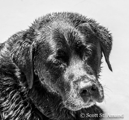 SSA Photography (140 of 400)