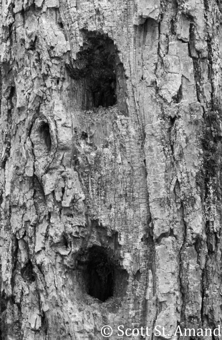 SSA Photography (144 of 400)