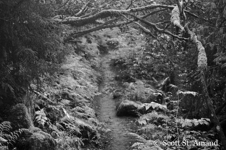 SSA Photography (16 of 400)