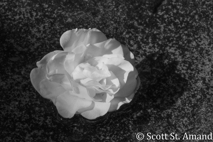 SSA Photography (171 of 400)