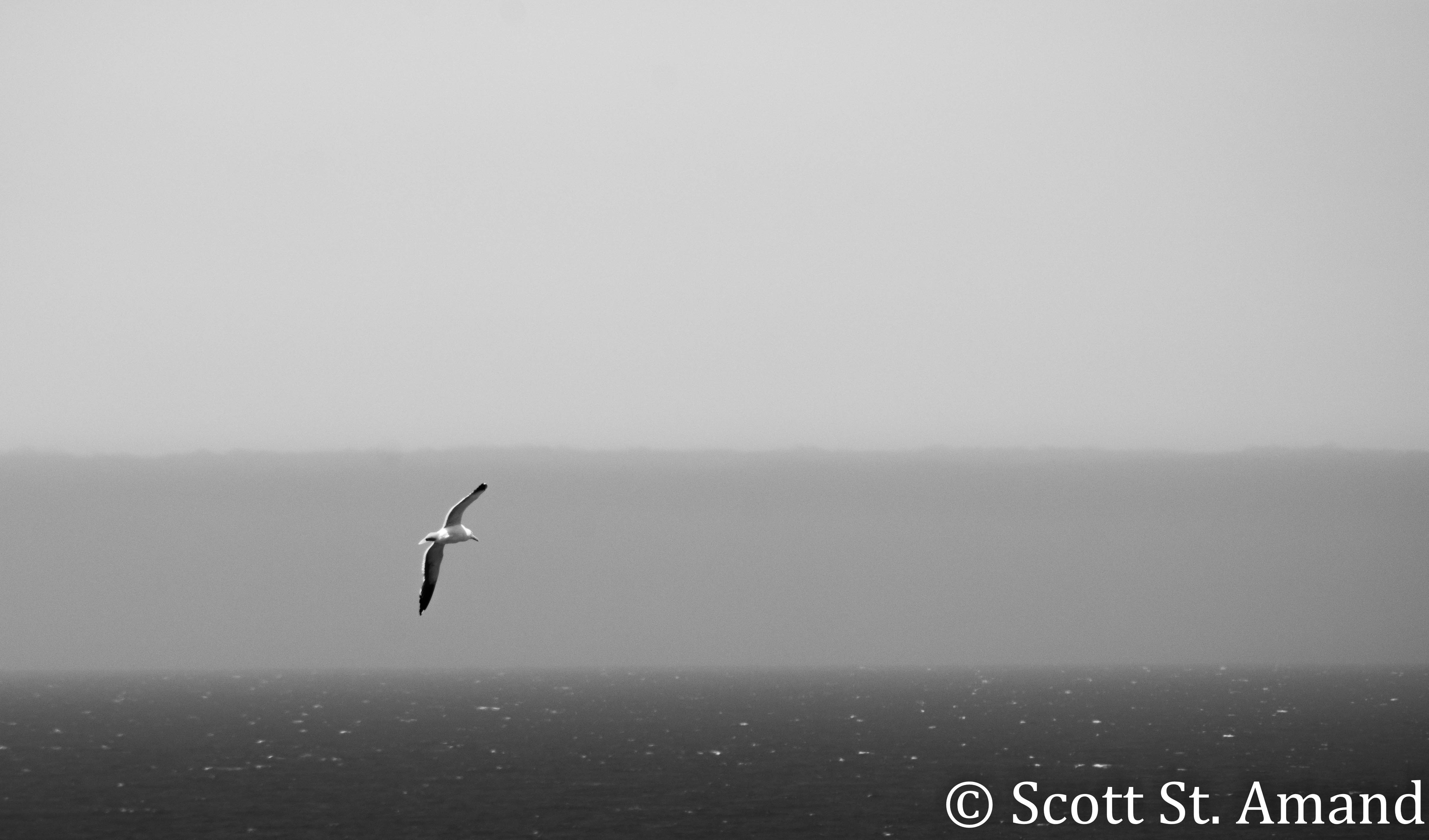 SSA Photography (177 of 400)