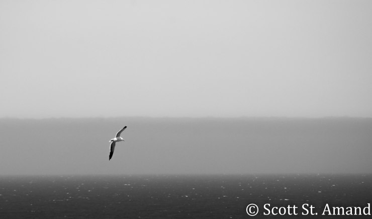 SSA Photography (177 of 400)