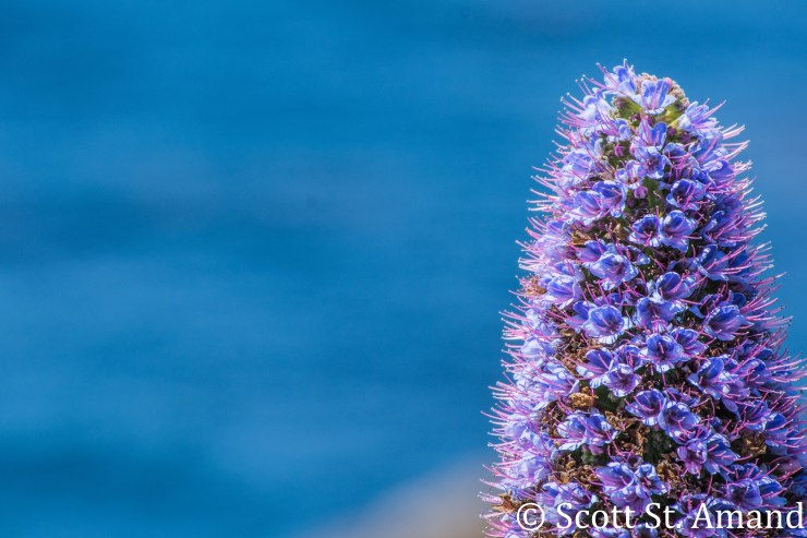 SSA Photography (179 of 400)