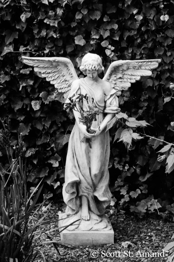 SSA Photography (196 of 400)