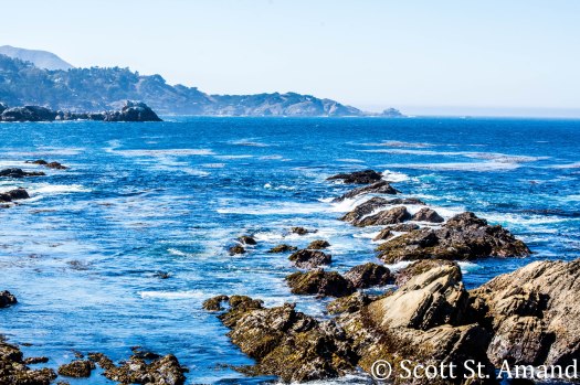 SSA Photography (197 of 400)