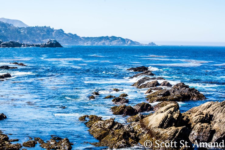 SSA Photography (197 of 400)