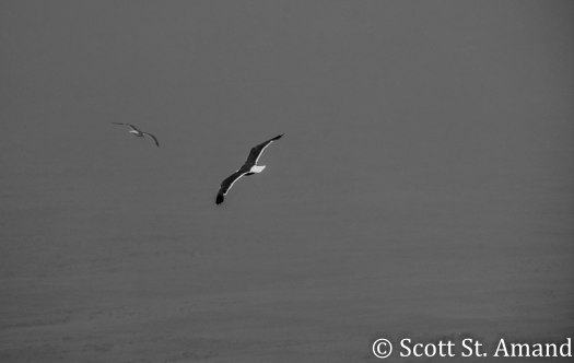SSA Photography (201 of 400)