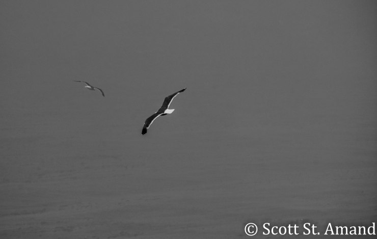 SSA Photography (201 of 400)