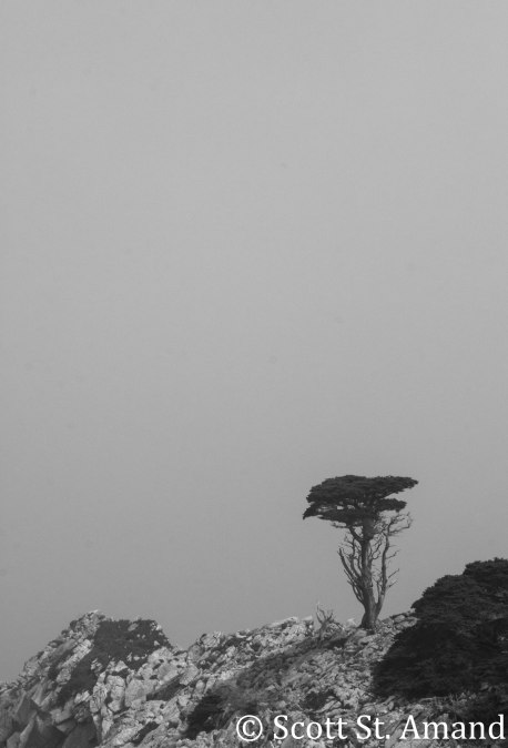 SSA Photography (204 of 400)