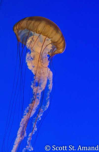 SSA Photography (227 of 400)