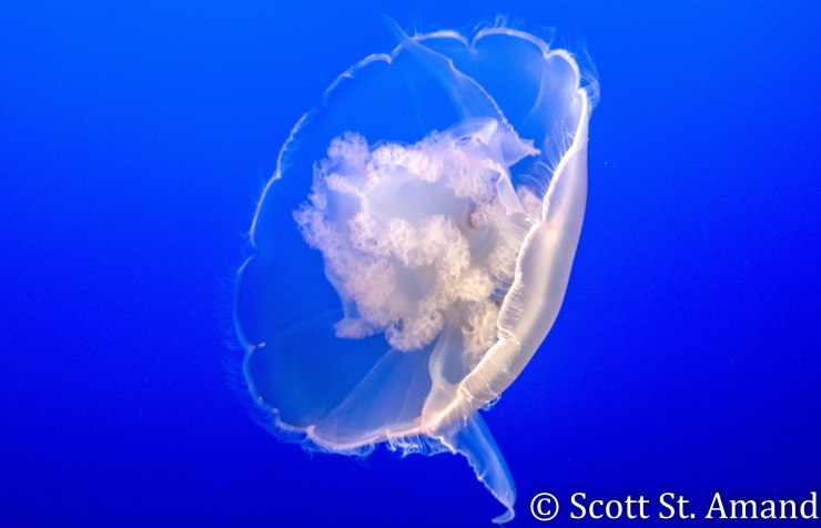 SSA Photography (230 of 400)