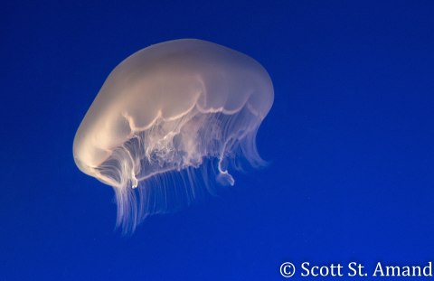 SSA Photography (232 of 400)