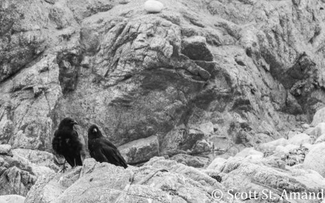 SSA Photography (235 of 400)