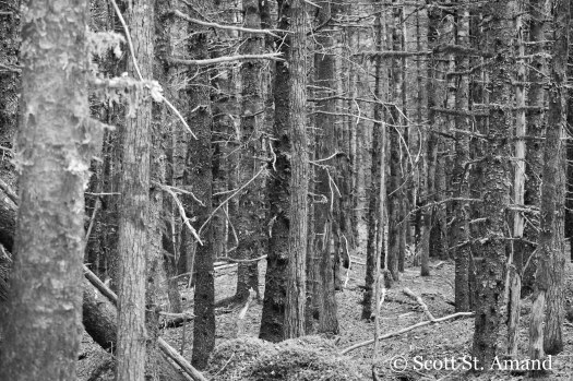 SSA Photography (24 of 400)