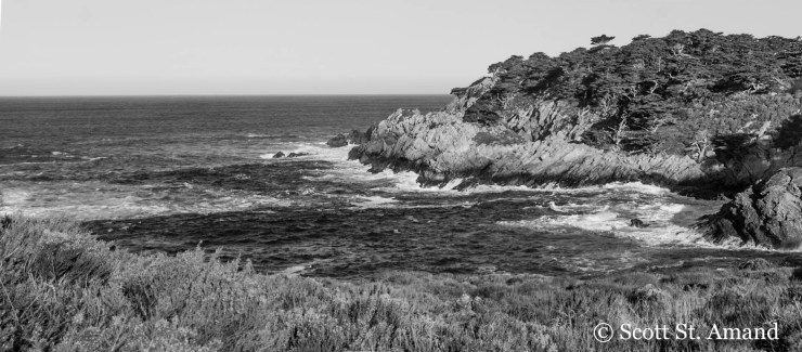 SSA Photography (249 of 400)