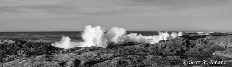 SSA Photography (260 of 400)