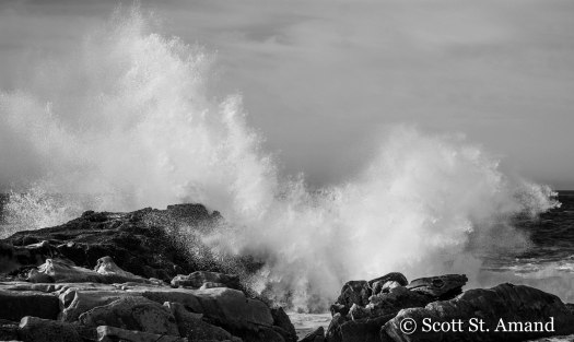 SSA Photography (266 of 400)