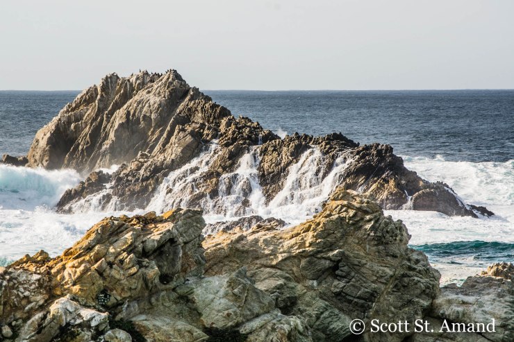 SSA Photography (272 of 400)