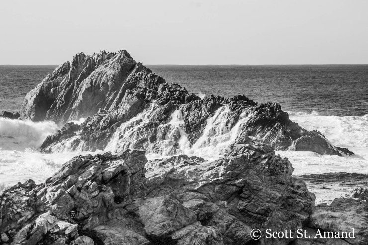 SSA Photography (273 of 400)