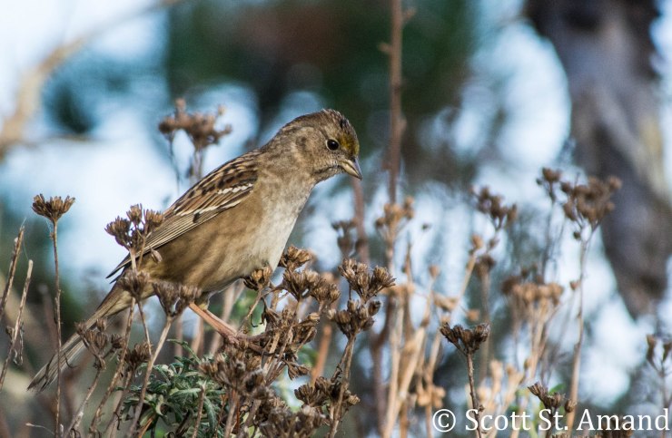 SSA Photography (281 of 400)