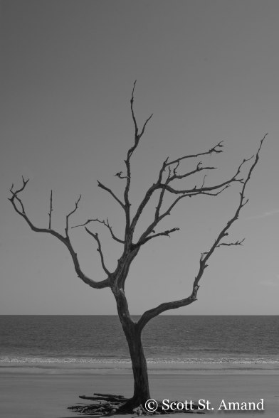 SSA Photography (291 of 400)