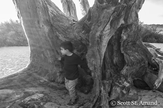 SSA Photography (323 of 400)