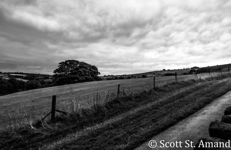 SSA Photography (345 of 400)