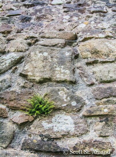 SSA Photography (368 of 400)