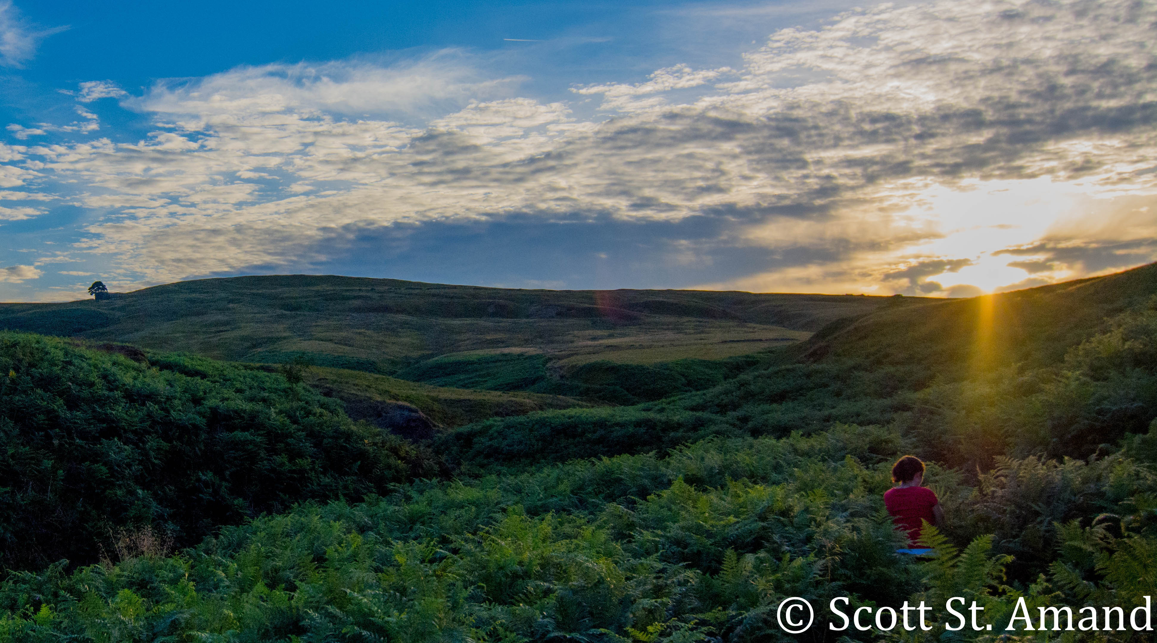 SSA Photography (390 of 400)