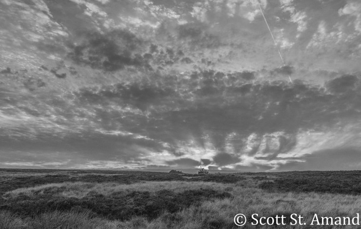 SSA Photography (397 of 400)