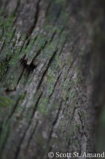 SSA Photography (76 of 400)