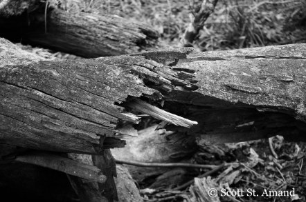 SSA Photography (78 of 400)