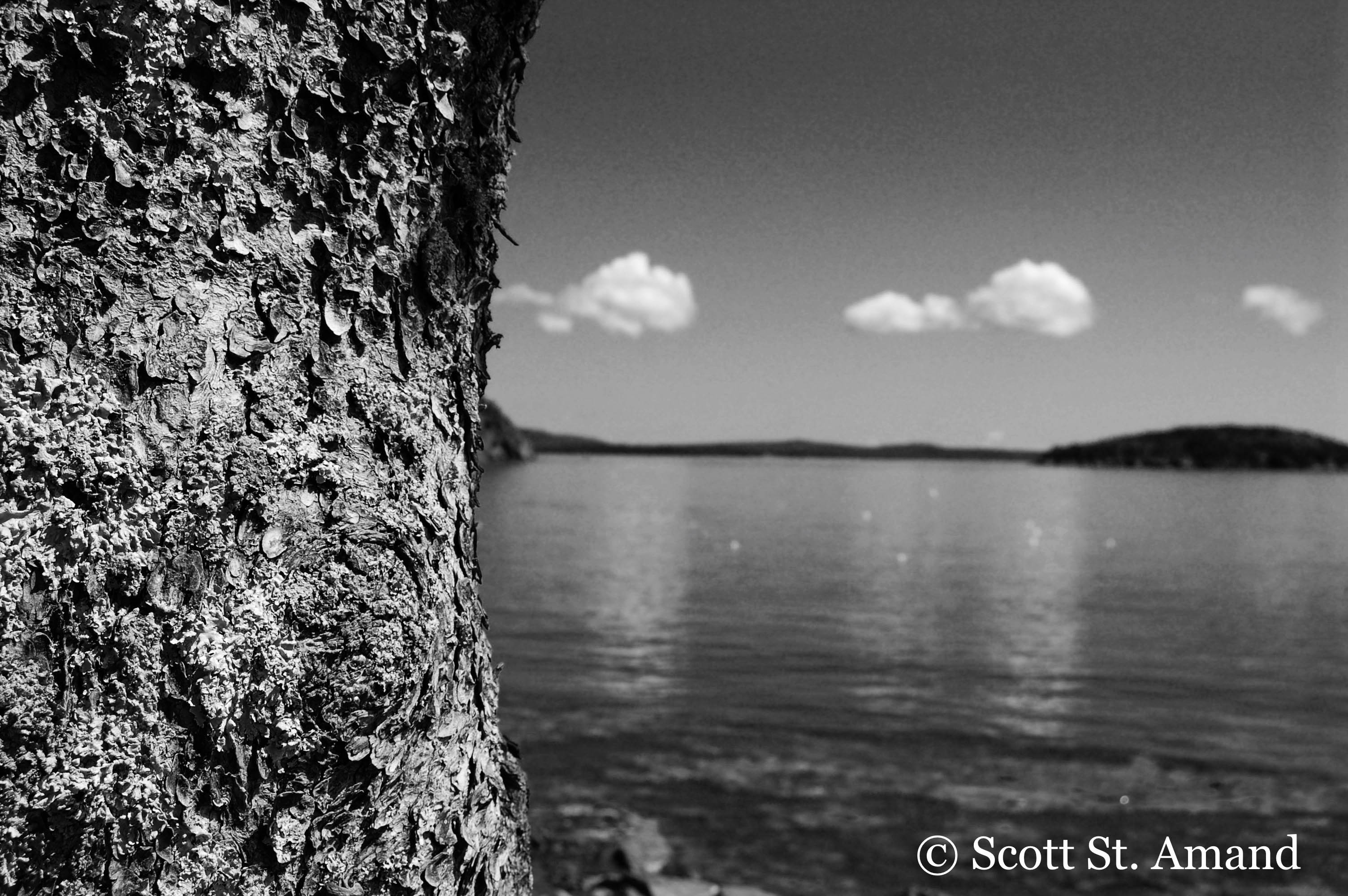 SSA Photography (8 of 400)