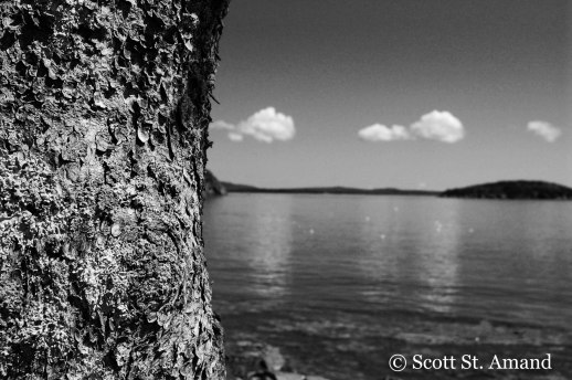 SSA Photography (8 of 400)