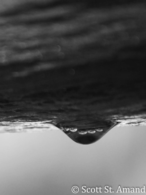 SSA Photography (83 of 400)