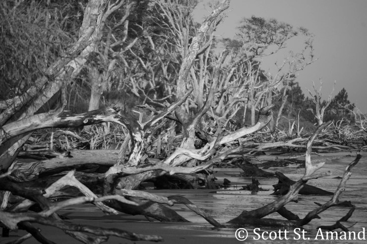 SSA Photography (84 of 400)