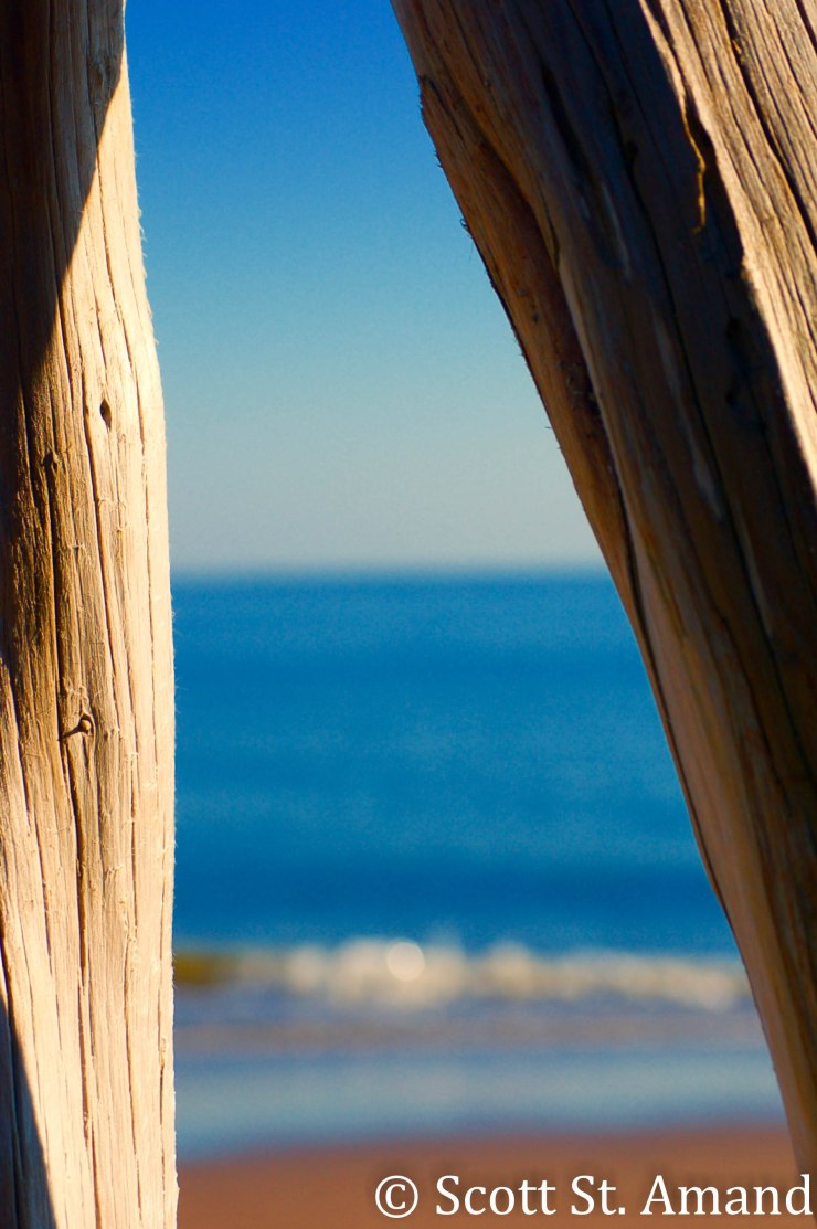 SSA Photography (86 of 400)