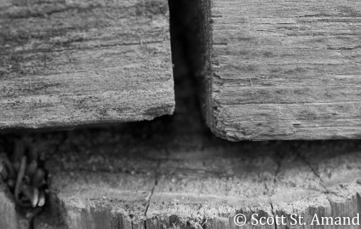 SSA Photography (95 of 400)