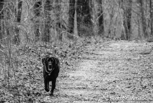 Panthertown Valley-5